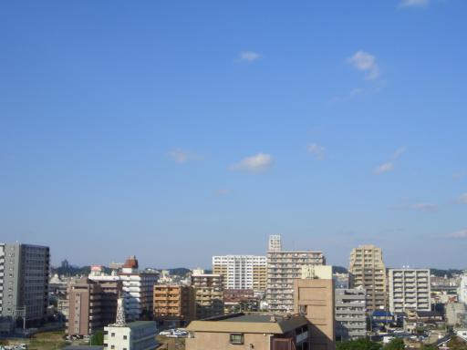 榴岡から見える街並み