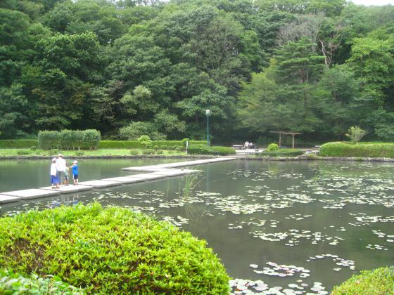 台原森林公園の池