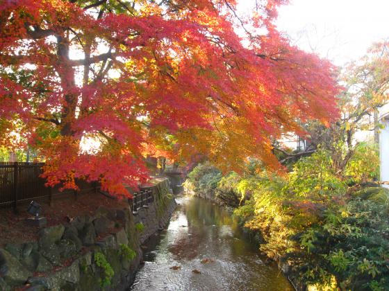 紅葉／若林区役所前