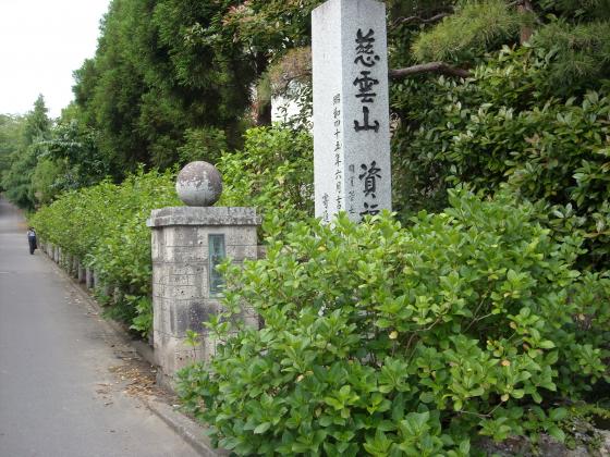あじさい成長記　北山