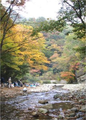 小さな秋　?奥新川の芋煮?