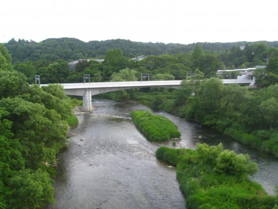 仲の瀬橋から