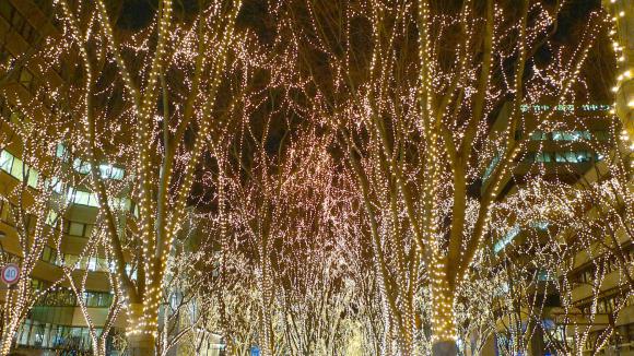 SENDAI 光のページェント 2012