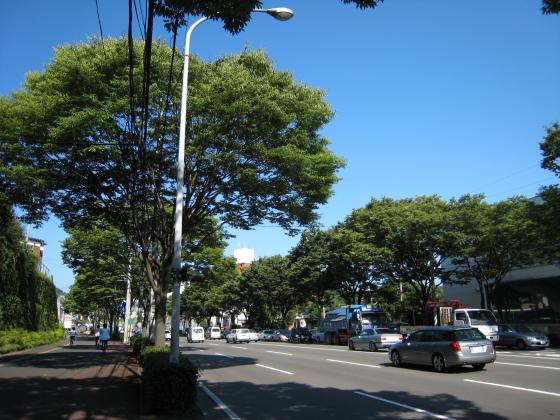 サイクリング日和