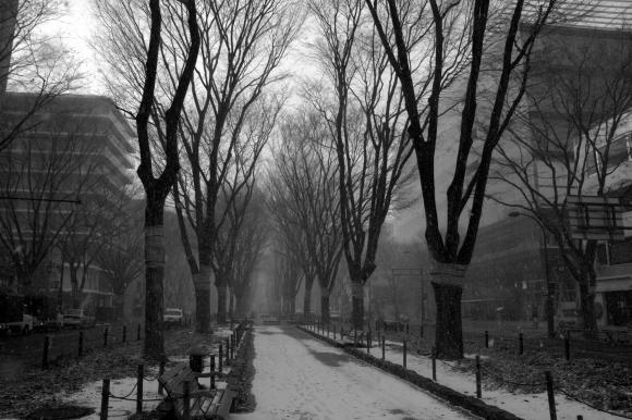 雪の定禅寺通り