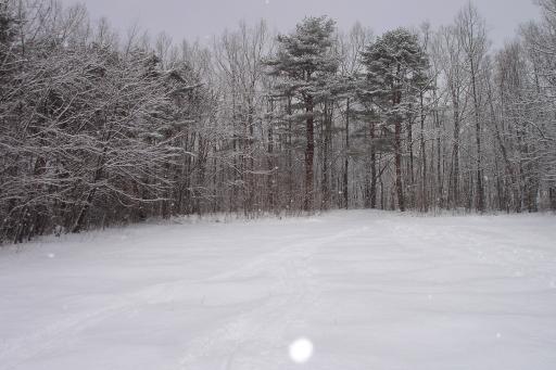泉ヶ岳スキー場