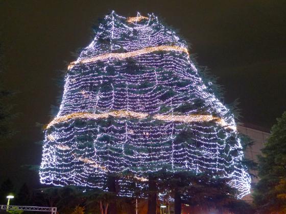 光のページェント シンボルツリー　2012