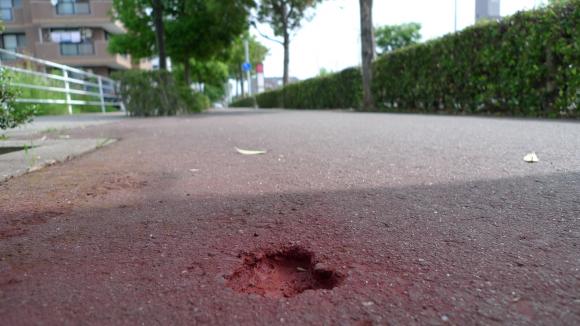 珍百景！？/太白区大野田