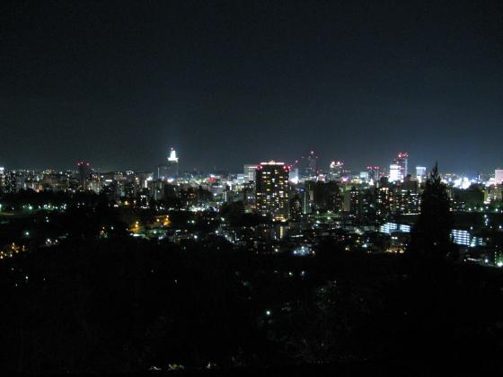 夜景／仙台城址