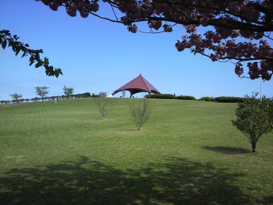 仙台港中央公園