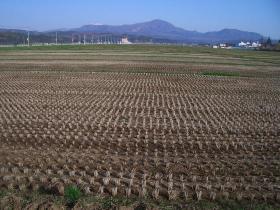 根白石の田園