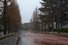 雪の宮城野原総合運動場