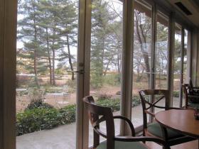 松島でティータイム