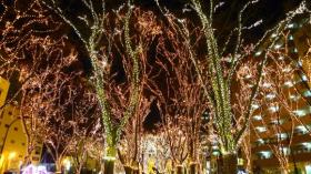 いつもと色が違うLED/光のページェント2011