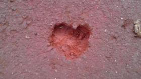 珍百景！？/太白区大野田