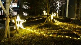 トラストシティのイルミネーション