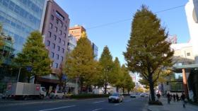 道標 茂市ヶ坂/元寺小路