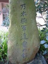 乃木将軍遺愛の松