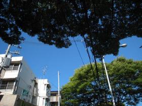 サイクリング日和