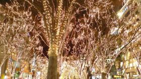 SENDAI 光のページェント 2009