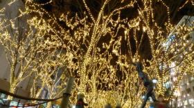 SENDAI 光のページェント 2010