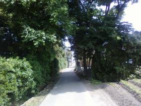 居久根（いぐね）／長喜城