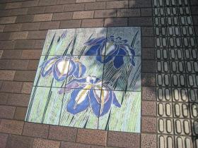 笊川（大野田ホタルの里）