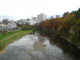 紅葉／仲の瀬橋から