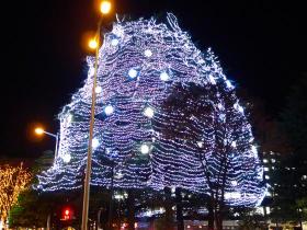 光のページェント シンボルツリー　2011