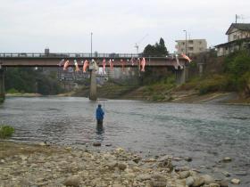 こいのぼり／澱橋