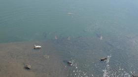 木流堀と広瀬川の合流点