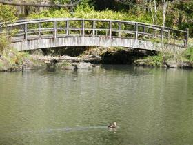 貝ヶ森中央公園