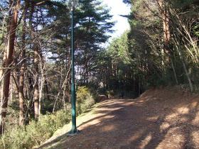 台原森林公園12月