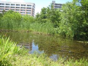 地底の森ミュージアム