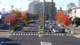 長町公園前歩道橋から