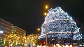 光のページェント シンボルツリー　2012