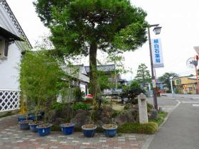 井戸?ガッチャンポンプ（根白石で）