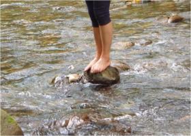 小さな秋　?奥新川の芋煮?