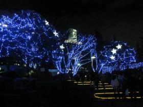 青い森／勾当台公園