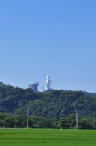 仙台大観音と田んぼ