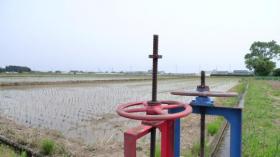 田んぼ／太白区富田地区