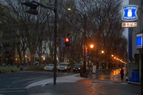 雪の定禅寺通り