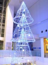 アエルのイルミネーションツリー