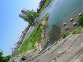 木流堀と広瀬川の合流点