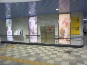 東西線八木山動物公園駅