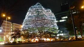 光のページェント シンボルツリー　2009